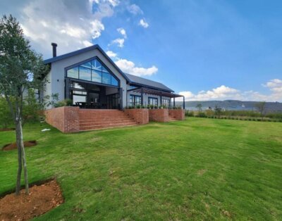 Bald Ibis (856 Highland Gate)